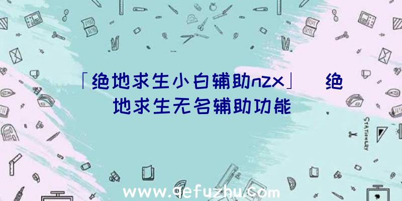 「绝地求生小白辅助nzx」|绝地求生无名辅助功能